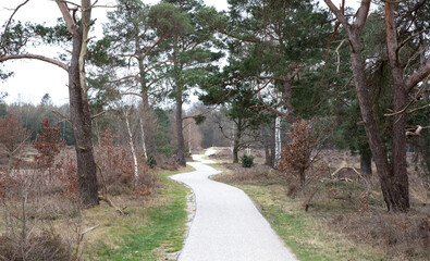 Bicycle trail in the Netherlands