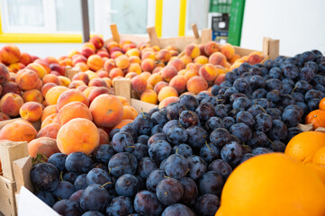 A selection of many fruits in a market. Fresh fruits at a farmers market