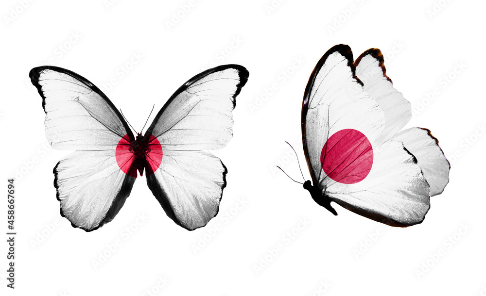 Poster a set of butterflies with the flag of japan on the wings in isolation on a white background