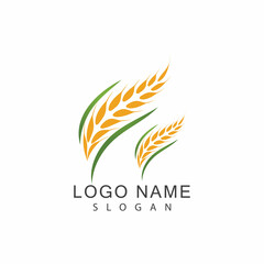 Agriculture wheat vector icon design