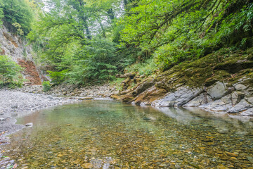 an opaque mountain river flowing in a mountain gorge of the forest