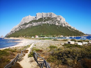 Insel Tavolara Sardinien - Naturparadies und Traumstrände mit rosa Sand