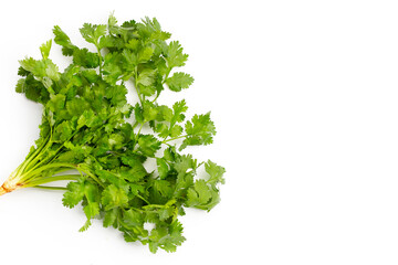 Obraz premium Fresh coriander on white background.