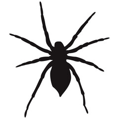 Black isolated spider. Vector simple shadow spider.