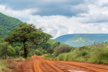Rural road in Limpopo, South Africa
