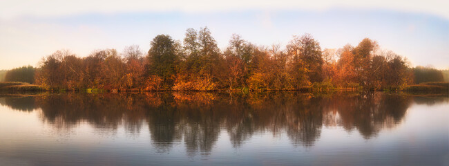 Forest autumn panorama above the water: trees are reflected in the surface of the water: wide-angle shot. Yellow autumn trees grow above the water and are reflected in the surface of the lake.