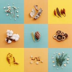 colorful collage of autumn forest natural composition. Flat lay