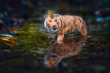 Tiger - 2022 New Year symbol, year of Tiger in China, festive greeting card concept, calendar, invitation, posters, brochure. Blue water and tiger symbol of New Year 2022.