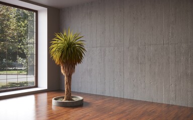 Empty room; black plaster wall with bonsai tree in pot; template design; 3d rendering, 3d illustration 