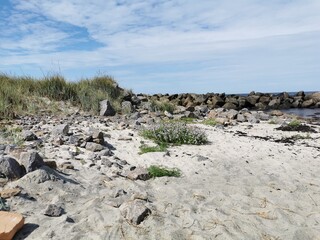 Strand Düne in Dänemark