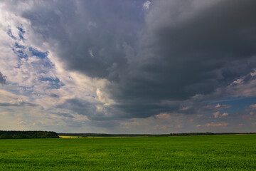 Obraz na płótnie Canvas green field on the back of thunderclouds