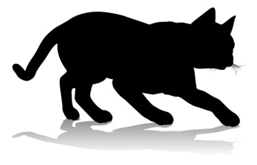 Silhouette Cat Pet Animal