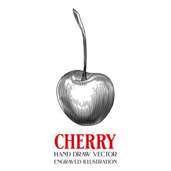 Cherry, Hand Draw Vector, Engraved illustration, Retro vintage, Fruit, Lines and colors are clearly separated, isolate on white background, ready to be used for work