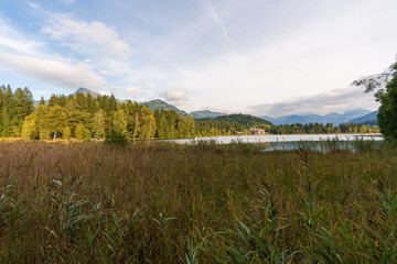 Ufer am Schwarzsee bei Kitzbühel in Tirol Österreich  im Frühherbst