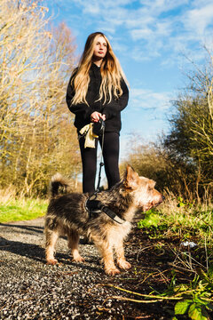 Small cute Yorkshire terrier in focus, slim teenager girl with long hair holding her pet on a leash. Vertical image. Warm sunny day. Outdoor walk in a park.