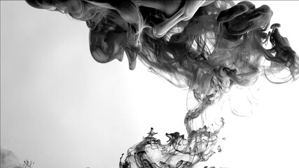 Black cloud of ink on a white background. Beautiful abstract background. Chic wallpaper for your desktop. Black watercolor paints in water on a white background.