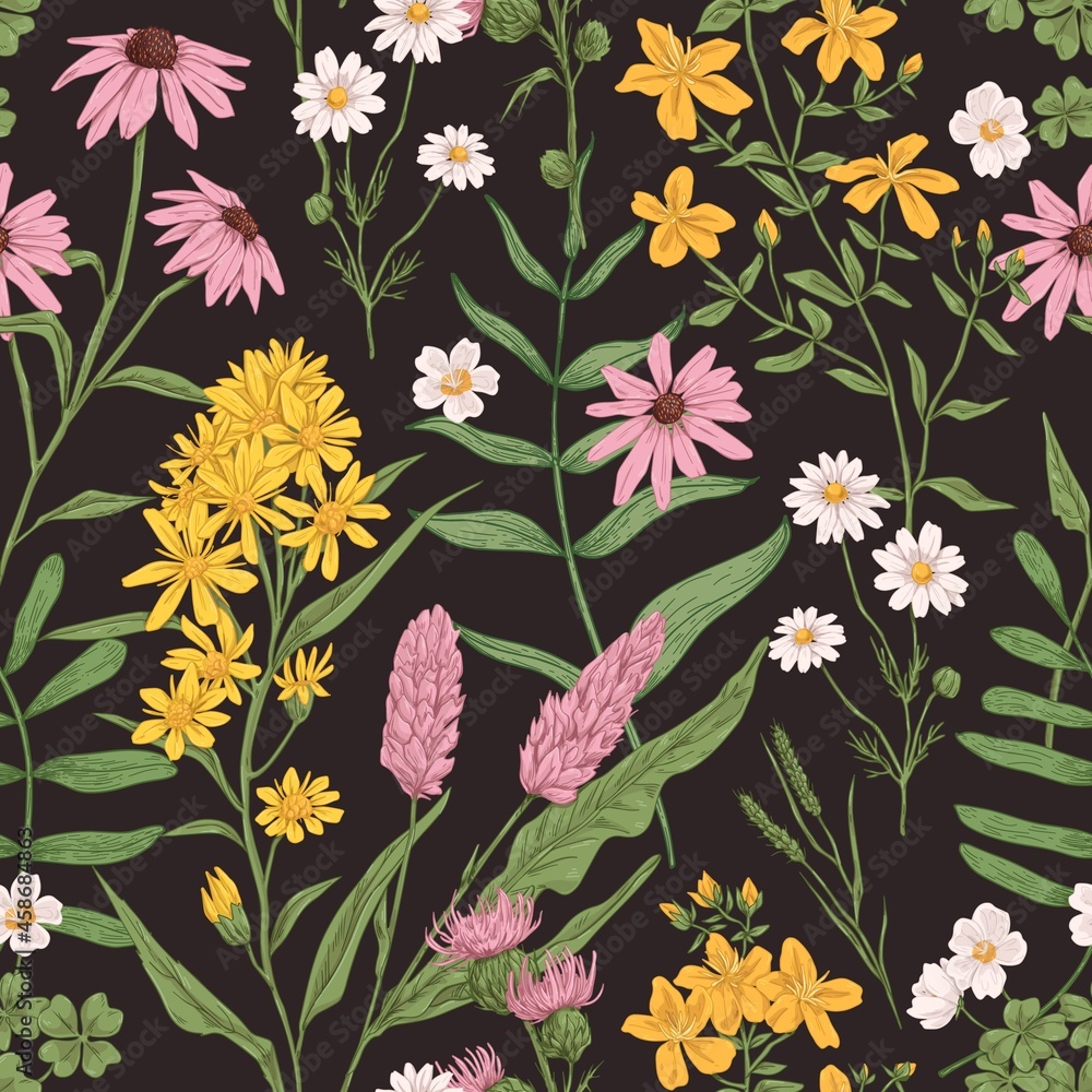 Poster seamless pattern with wild herbs. vintage herbal background with meadow and field flower plants. end