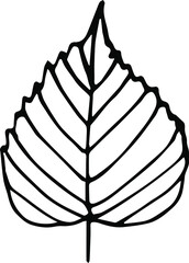 Vector doodle tree leaf. Drawing with a black outline on a white background. Print for clothes, notebooks.