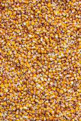 Bulk corn kernels. Peeled corn background. High quality photo