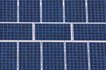 Placas solares en un día despejado con el cielo azul.