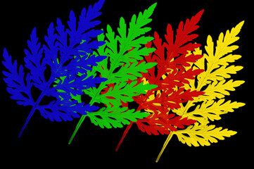 Vibrant leaves in four different colors