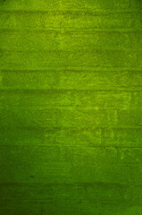 Closeup of old, rough wall in green.