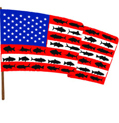 American flag. Fishing. Silhouettes of fish on the flag.