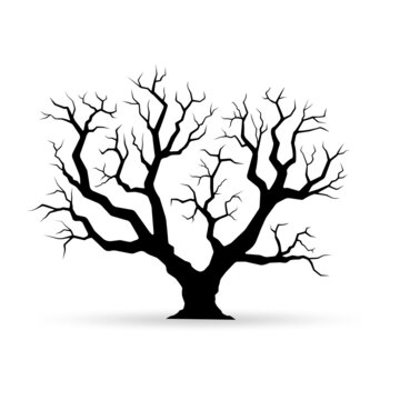 Naked tree silhouette. Old oak tree with bare branches. Vector illustration.