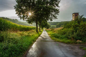 Germany Travel Green Belt Hinking Trail
