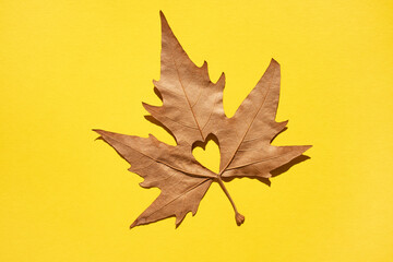 Dry maple leaf with a heart in the middle on a yellow background. Flat lay, close-up.