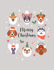 Fototapeta na wymiar Merry Christmas greeting card. Vector illustration with cute dogs faces in winter and party hats, surrounded by snow, stars, mistletoes, and candy canes. Isolated on light grey background