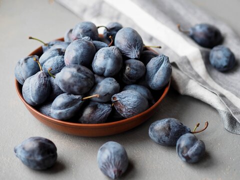 Large autumn blue plums lie in a natural clay bowl. Natural fruits from the garden.