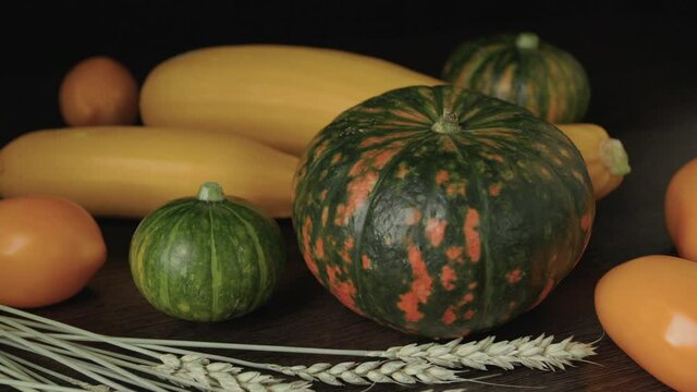 Pumpkin, squash, tomatoes and ears of wheat are on the table. Autumn still life of vegetables and cereals. Green-orange pumpkin, yellow squash, yellow tomatoes, ripe ears of wheat on a dark background