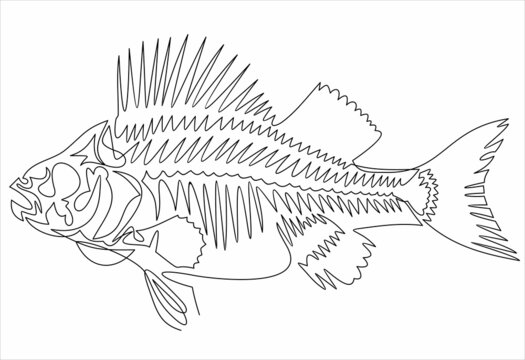 Fish Bone One Single Continuous Line Vector Illustration Abstract Graphic