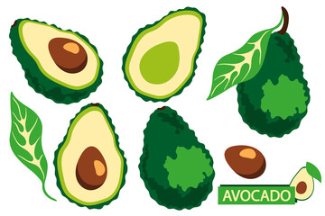 Set of whole and half avocado with seed and leaf. Abstract fruit. Cartoon style.