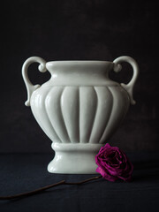 Ceramic vintage vase with dry red flower on black background