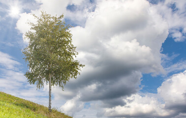 Obraz premium clouds over the field