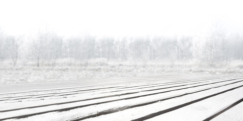 White board of free space and winter landscape. 