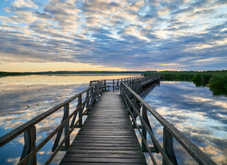 Federsee