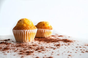 Two small chocolate chip muffins sprinkled with cocoa