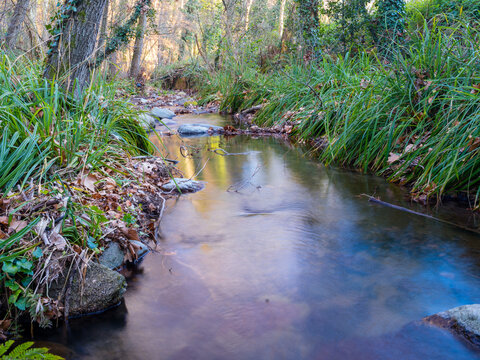 riera de canoves y samalus en catalu&ntilde;a espa&ntilde;a, principios de oto&ntilde;o luz atardecer y hojas caidas