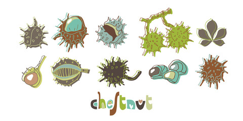 Set with chestnuts on white background. Flat style. Vector illustration. Illustration for wrapping paper, post cards, prints for clothes, emblems, advertising and packaging.