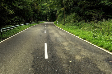 Road with guardrail in a dense lush forest in summer.