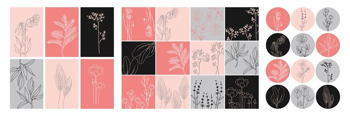 Floral minimal social media set. Hand drawn line wild flower and leaves. Modern floral template for posts, highlights covers and stories. Vector botanical illustration pink black gray colors