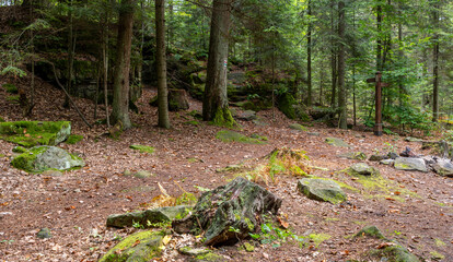 The junction of forest trails in the Świętokrzyskie Mountains Poland.
