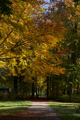 Obraz premium autumn in Germany Bayern