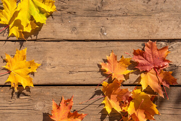 Naklejka na ściany i meble Autumn background of yellow maple leaves and a wooden fence