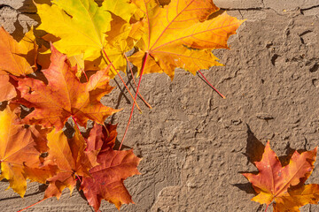 Naklejka na ściany i meble Yellow autumn foliage on a stone background with a place for text.