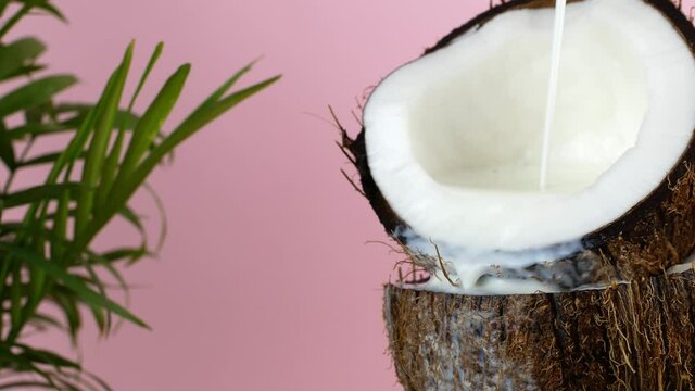 Coconut nut. Juicy ripe split coconut into which coconut milk is poured, on a pink background with a green palm tree.