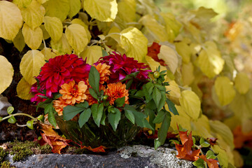 Beautiful red and orange dahlia flowers in arrangement outdoors